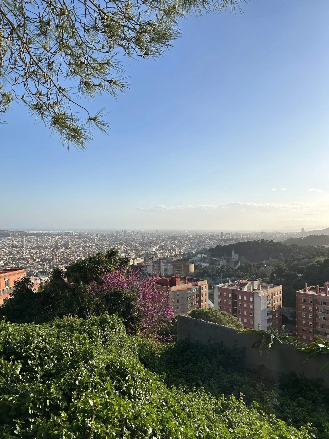 Rooftops and city streets in Barcelona